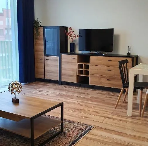 Good Time 104 Komfortowy W Sercu Starego Miasta * Poznań